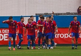 The side's players celebrate a goal scored this season.