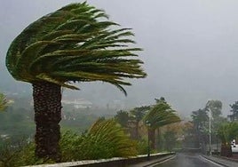 Storm Nuria: Spain's state weather agency activates red alert in the Canary Islands for hurricane-force winds