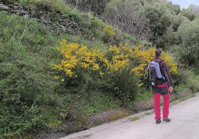 Camino de la Dehesa.