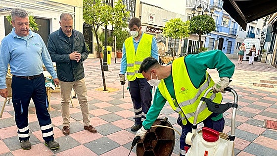 Fuengirola begins battle against insects to mitigate one of the biggest problems of summer