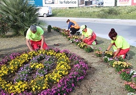 Municipal workers planting flowers on one the roundabouts in Cártama.