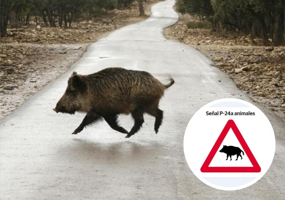 The new warning sign that could be coming to a road near you soon
