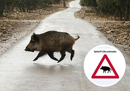 The new warning sign that could be coming to a road near you soon