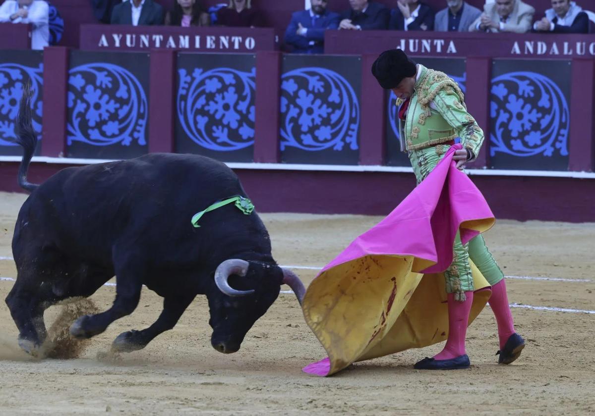 Junta reaffirms 'unconditional' support for bullfighting: 'Andalucía and its regional government are enthusiasts'