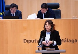Ronda's mayor, Maripaz Fernández, speaking at Tuesday's plenary meeting of Malaga's provincial authority.