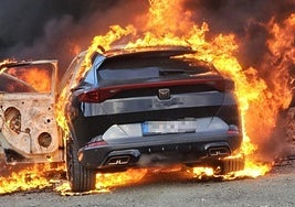 Two guns found in gutted wreckage of car used in murder of British man on the Costa del Sol