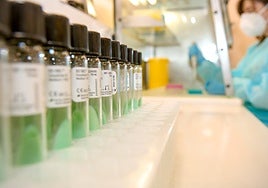 Image of the MMR vaccines stockpiled to tackle measles.