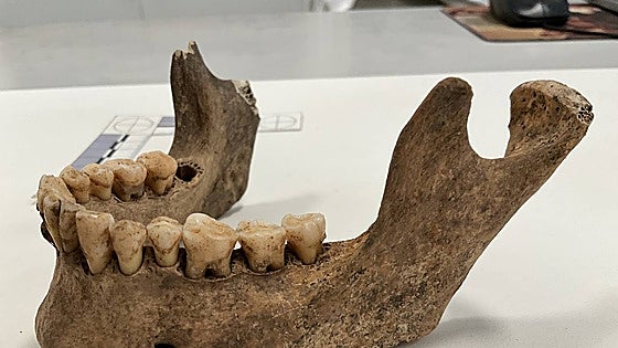 The unexpected genetic heritage of the Phoenicians in Malaga: an international study uncovers their DNA