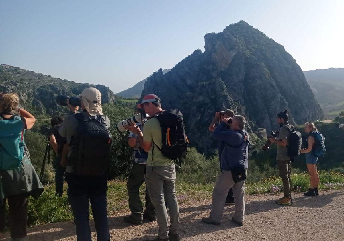Montejaque showcases its bird population