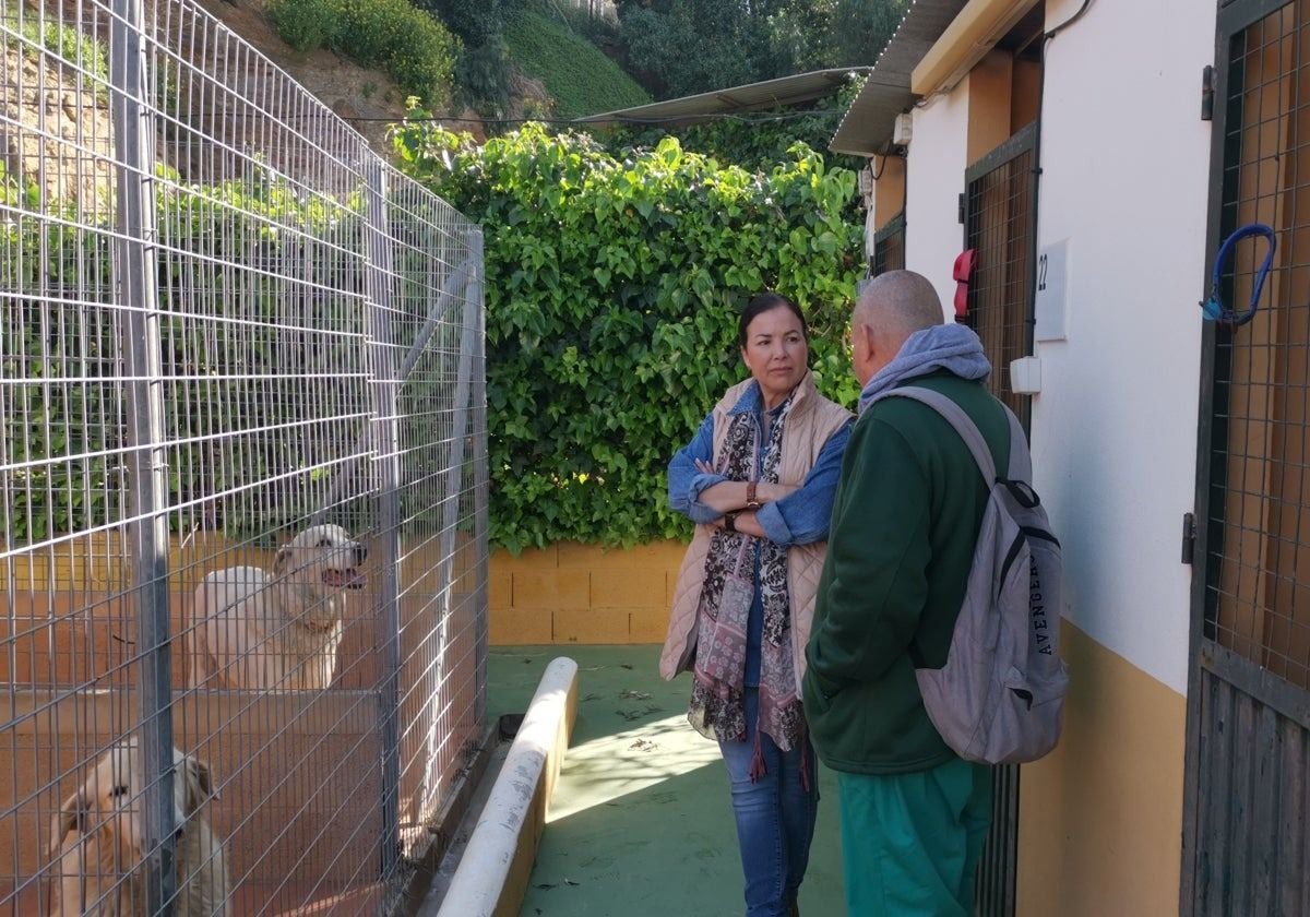 Costa del Sol refuge looked after 726 animals in 2024