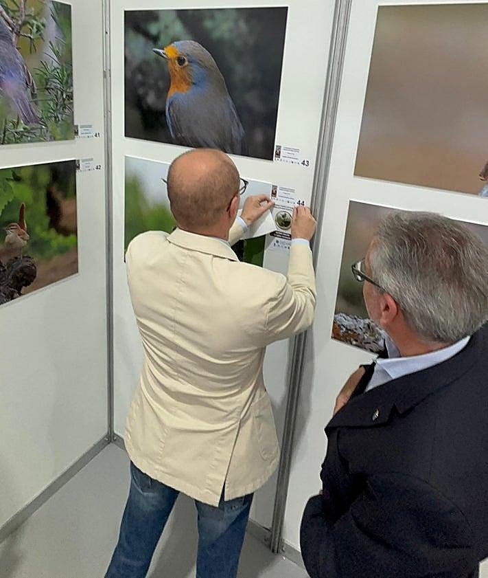 Imagen secundaria 2 - Montejaque showcases its bird population
