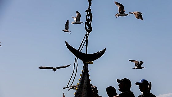 Cadiz dresses up in May to celebrate the arrival of bluefin tuna