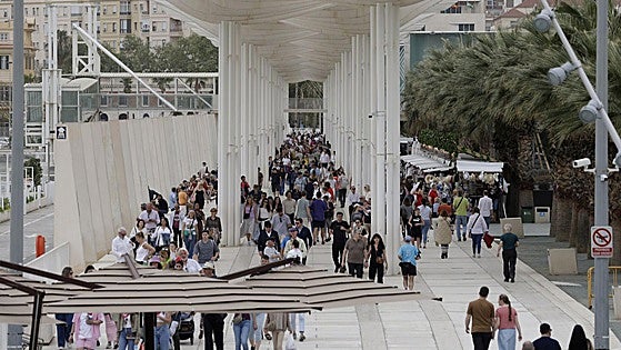 A third of the municipalities in Malaga province have a more than 20% foreign population