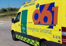 Young man who was killed while attempting to cross A-7 motorway on foot 'was trying to flee from police'