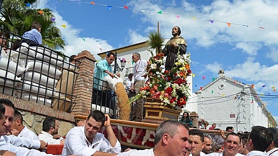 Malaga town gets ready to honour patron saint of farmers with 40 tonnes of wheat