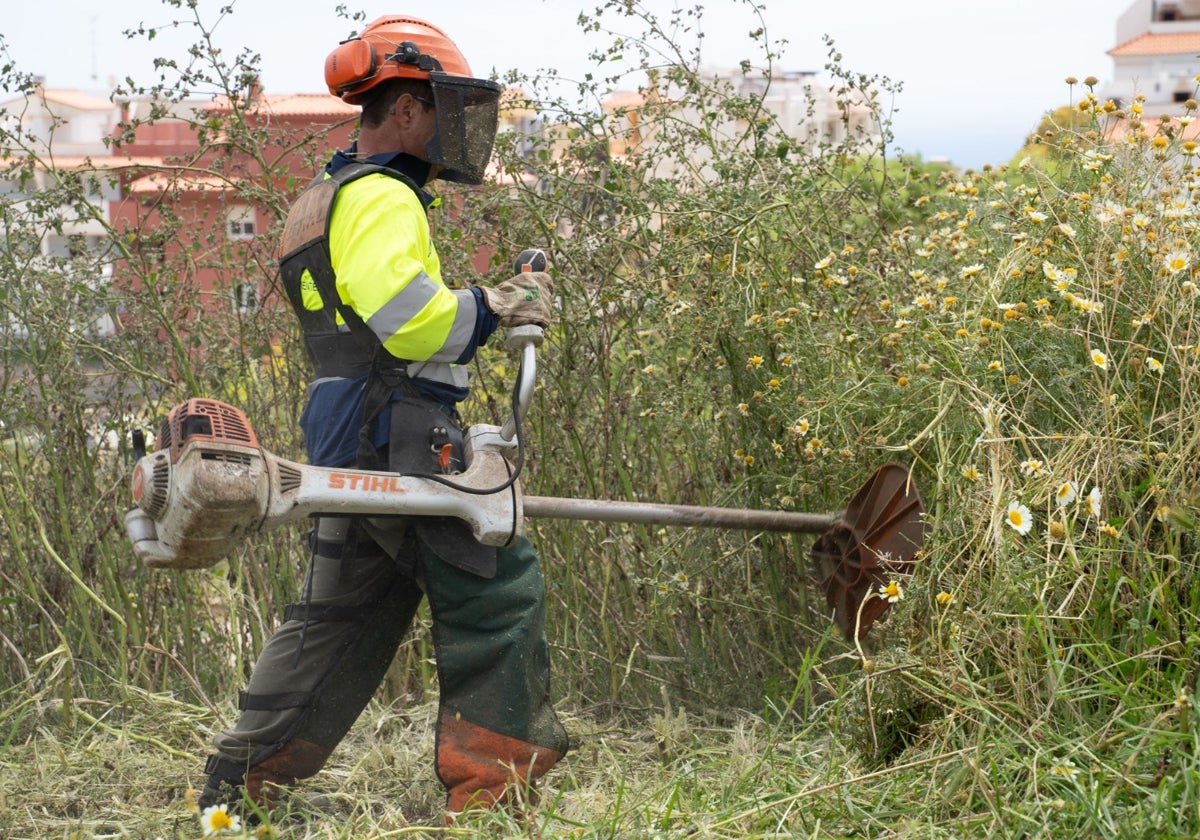 Clearing of streams and municipal plots under way in Benalmádena in bid to prevent summer wildfires