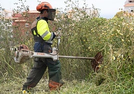 Clearing work in Benalmádena.