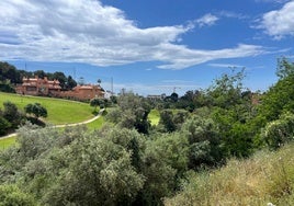 The land located in the Artola Alta area has been put up for auction for 2.3 million euros.