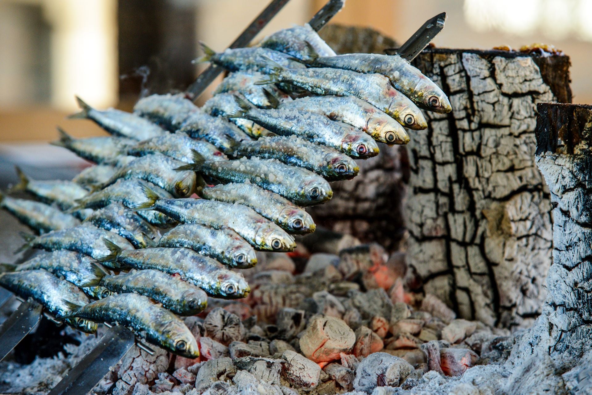 It’s grilled sardine season on the Costa del Sol and here are ten of the best places to try them