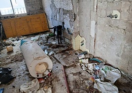 Dog reported stolen two years ago in Marbella found tied up and living in squalor with open neck wound