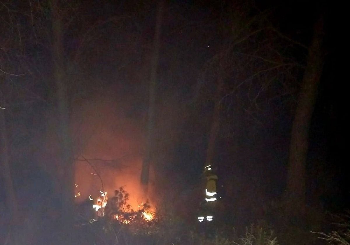 Wildfire in Malaga province under control