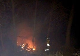 Wildfire in Malaga province under control