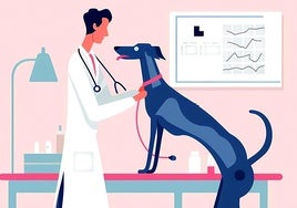 Is it worth getting pet insurance for dog and cat breeds prone to health issues?