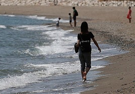 A person walks along the seashore.
