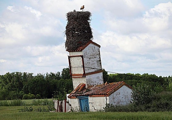 Stork's nest in Burgos goes viral: 'From the beginning we wanted to protect it'