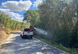 A fumigation team combats mosquitoes carrying the West Nile Virus in one of the risk areas in Andalucía.