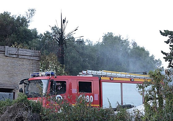 Firefighters from Malaga working in the area where the fire spread.