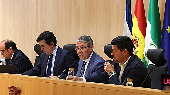 Provincial authority unanimously approves 90.5-million contribution to La Rosaleda stadium extension