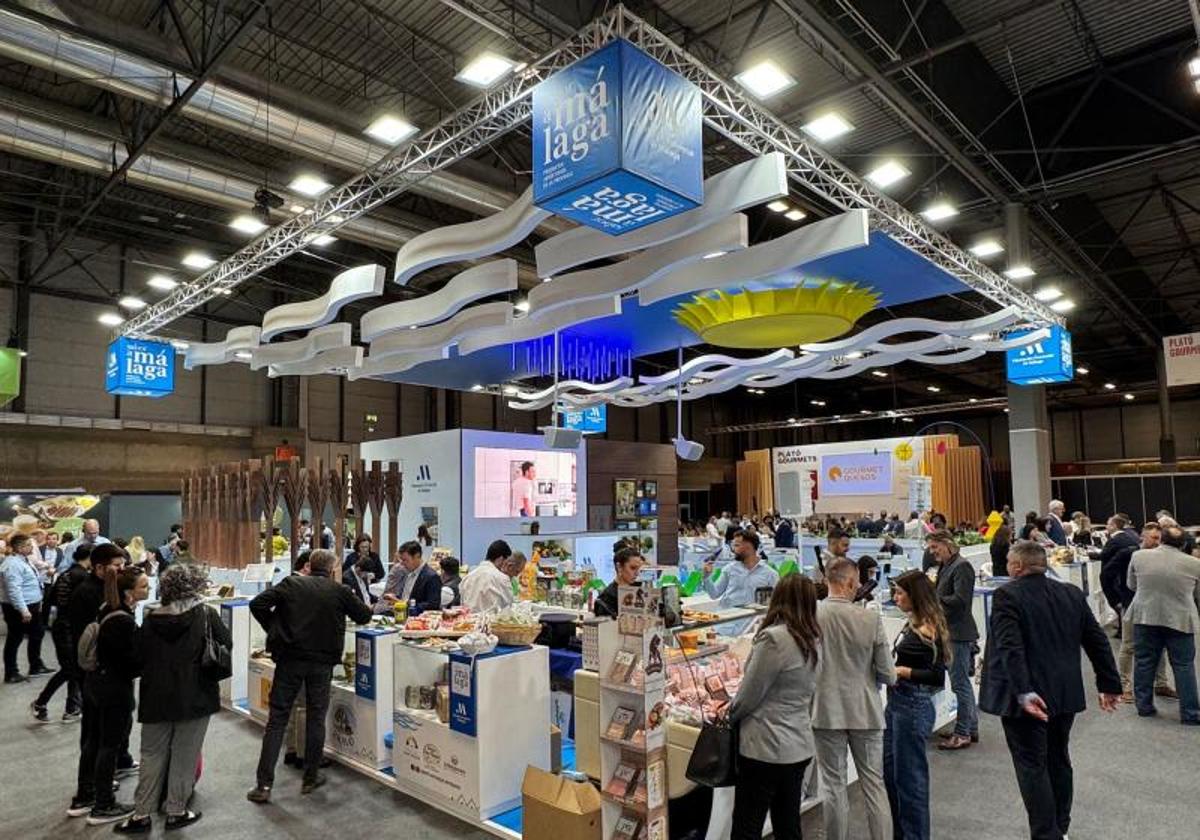 Malaga's leading names in distribution flex their muscles