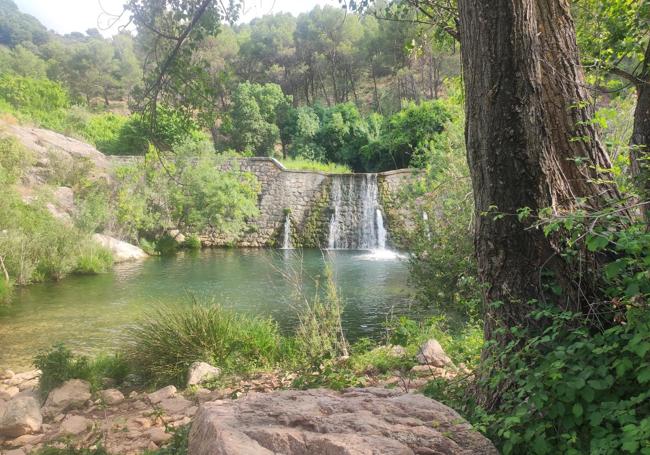 The source of the Turón dam.