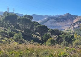View of the Sierra de Mijas.
