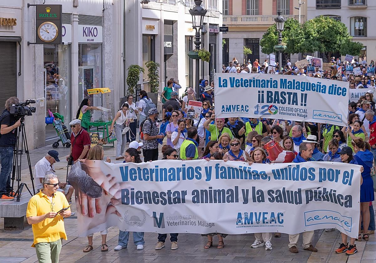 Imagen principal - Pet owners and vets march in Malaga in protest against Spain's new veterinary medicines law
