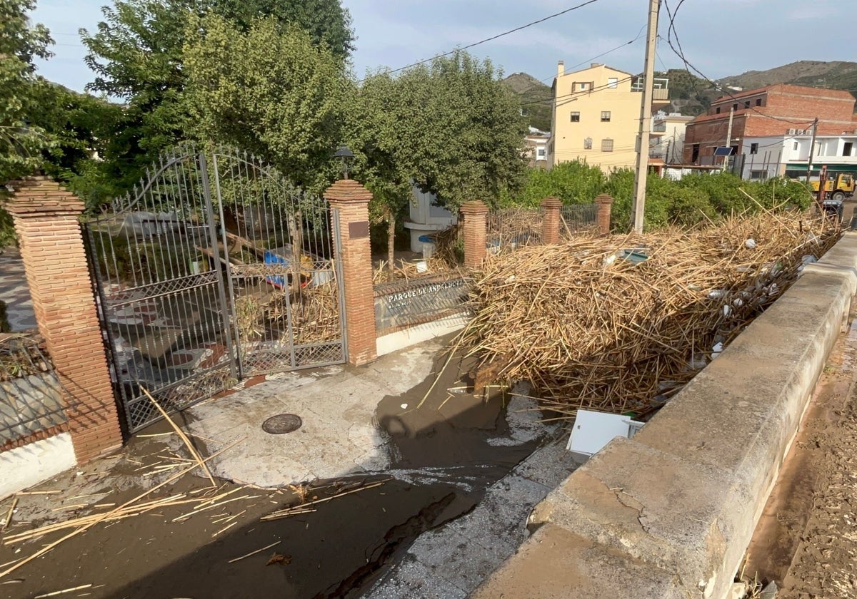 Farmers in Malaga province still without water seven months after devastating floods