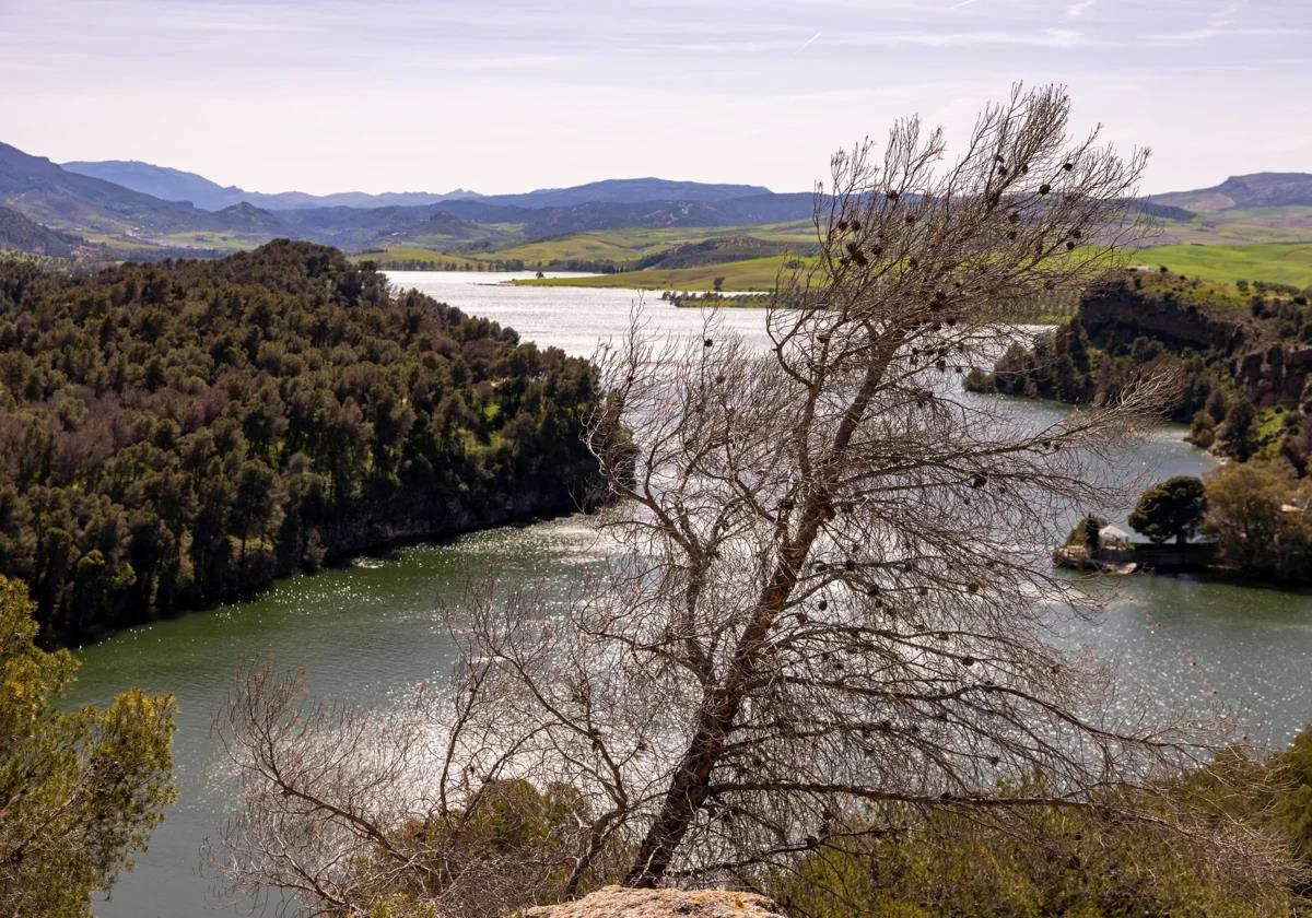 The scene at the Conde de Guadalhorce reservoir shows the devasting effect.