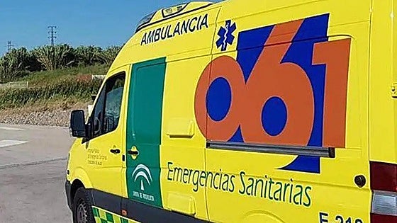 Dog dies and woman injured after fire in Benalmádena