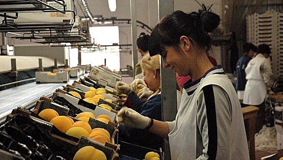 Spain hits record three million foreign workers contributing to social security system