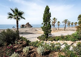 The surrounding area has been replanted with new trees and shrubs.