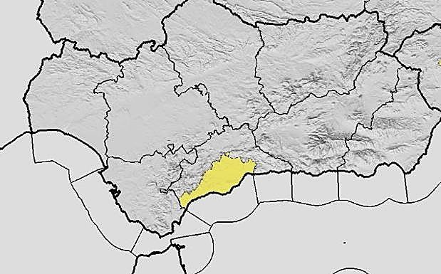 Malaga is under a yellow heat warning on Wednesday, 25 June.
