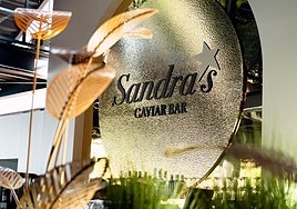 Starlite Occident’s gastronomic experience: When music is served with the finest flavor