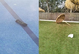 Night-time use and damage to the swimming pool in Guaro force the town hall to take vigilance measures