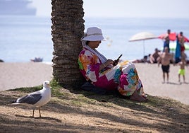 Resting in the shade of a palm tree on a beach in Malaga.