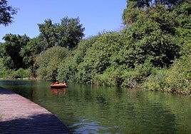 La Ermita bathing pool on the Guadiaro river in the Serranía de Ronda.
