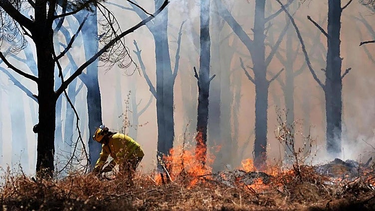 Spark from combine harvester is main theory for first major wildfire of summer in Spain