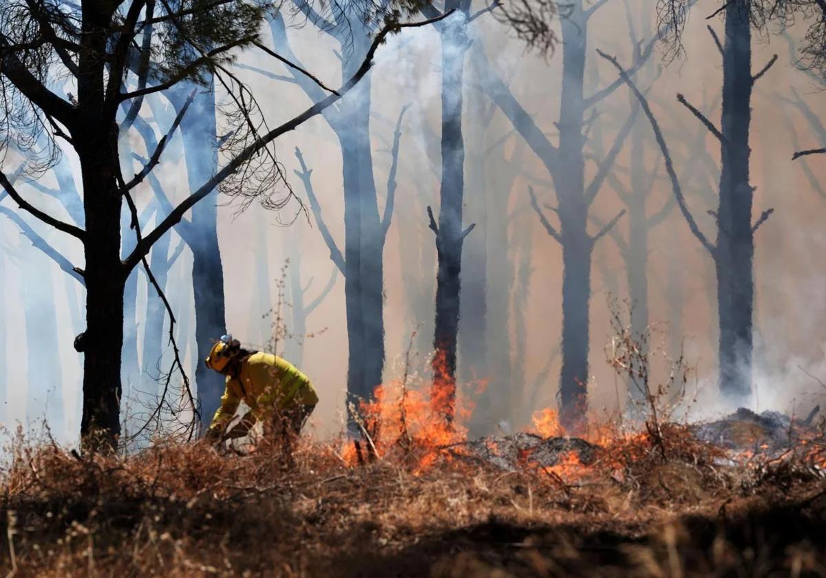 Spark from combine harvester is main theory for first major wildfire of summer in Spain