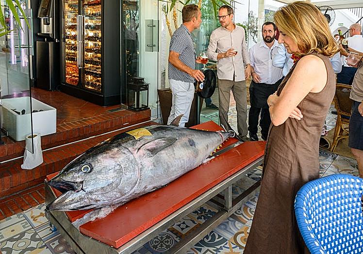 Beginning the "Ronqueo", the Spanish traditional way of slicing the tuna.