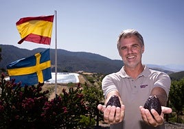 Pelle Lundborg, at his farm Solmark in Carratraca, shows two avocados from his harvest.